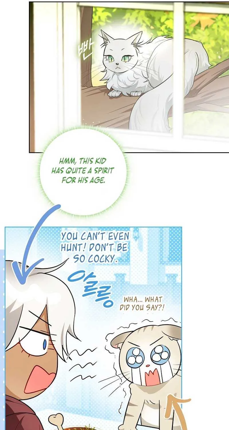 Even Though I Transmigrated as a Villainess, I’d Rather Raise a Cat Chapter 20 page 36 - 