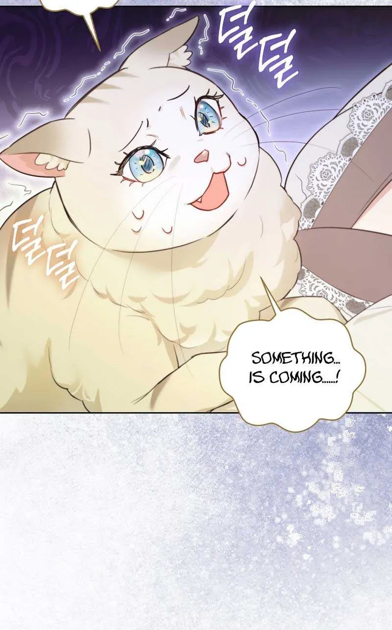 Even Though I Transmigrated as a Villainess, I’d Rather Raise a Cat Chapter 20 page 48 - 