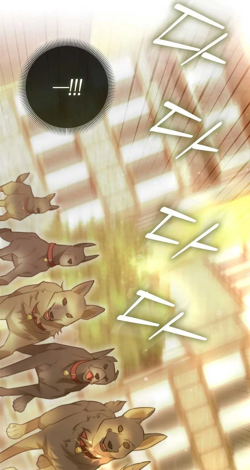 Even Though I Transmigrated as a Villainess, I’d Rather Raise a Cat Chapter 20 page 50 - 