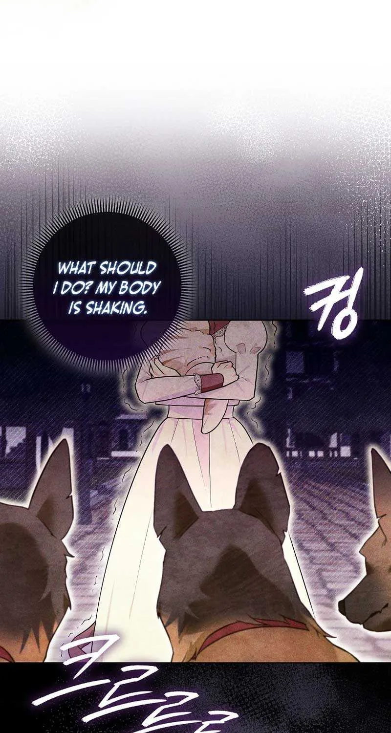 Even Though I Transmigrated as a Villainess, I’d Rather Raise a Cat Chapter 20 page 58 - 