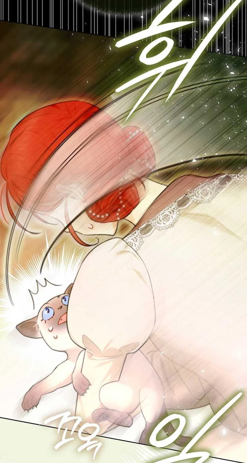 Even Though I Transmigrated as a Villainess, I’d Rather Raise a Cat Chapter 20 page 60 - 
