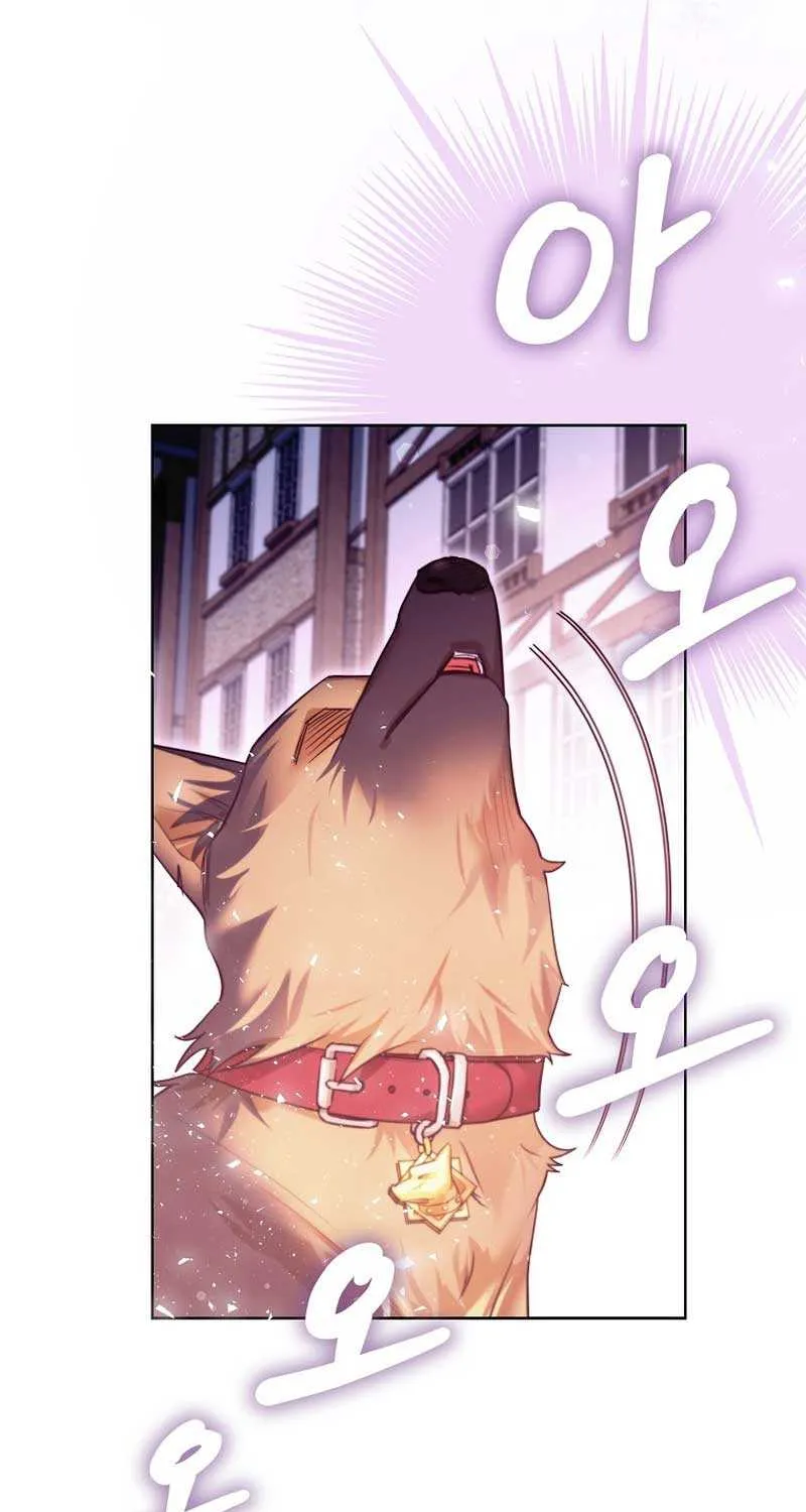 Even Though I Transmigrated as a Villainess, I’d Rather Raise a Cat Chapter 20 page 63 - 