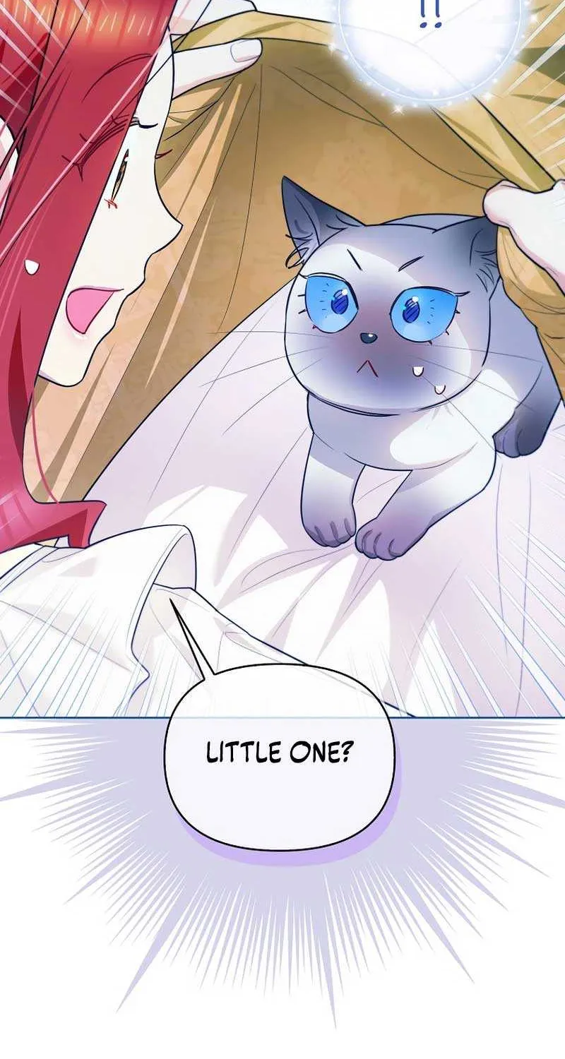 Even Though I Transmigrated as a Villainess, I’d Rather Raise a Cat Chapter 21 page 63 - 