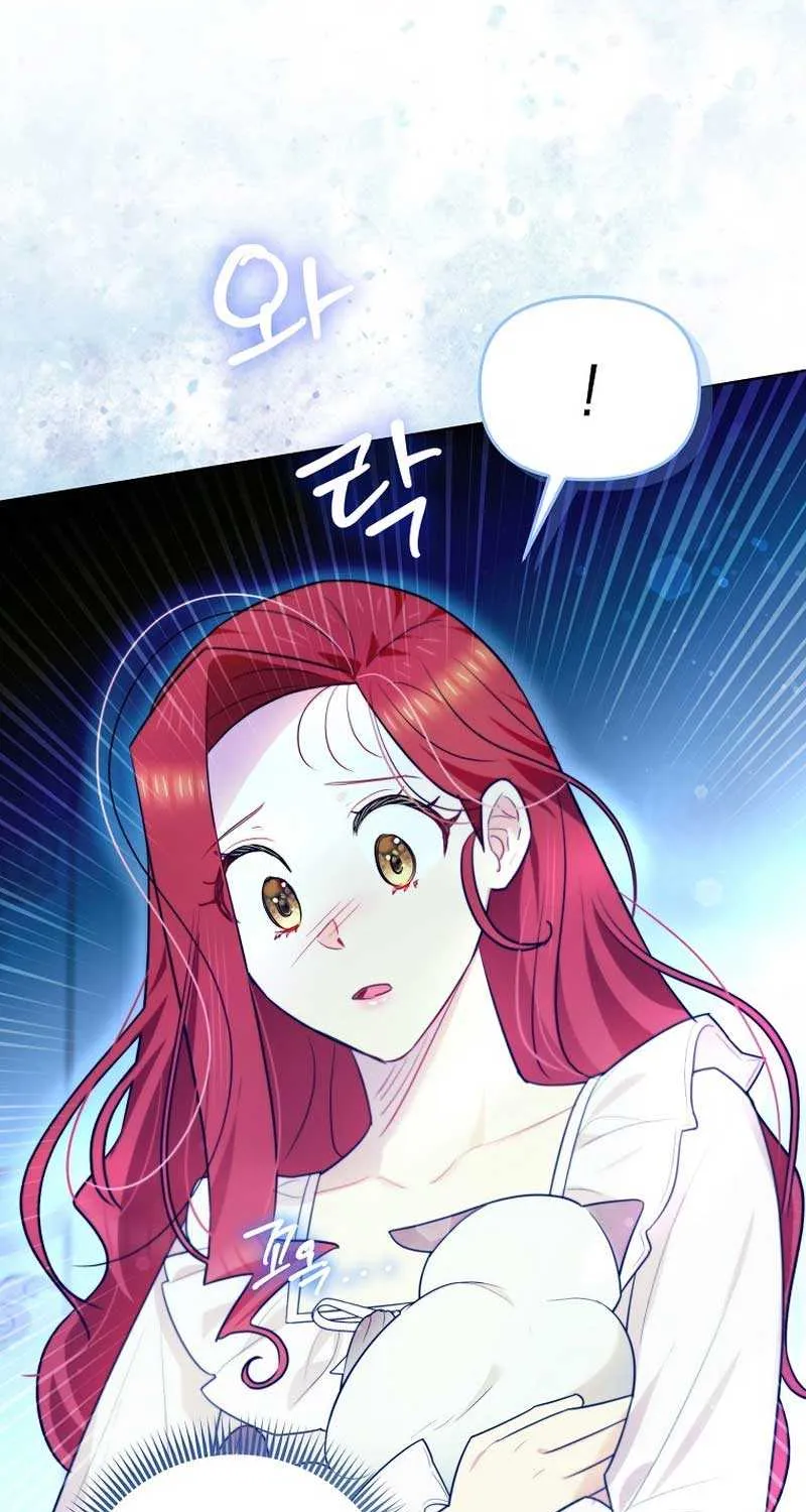 Even Though I Transmigrated as a Villainess, I’d Rather Raise a Cat Chapter 21 page 69 - 