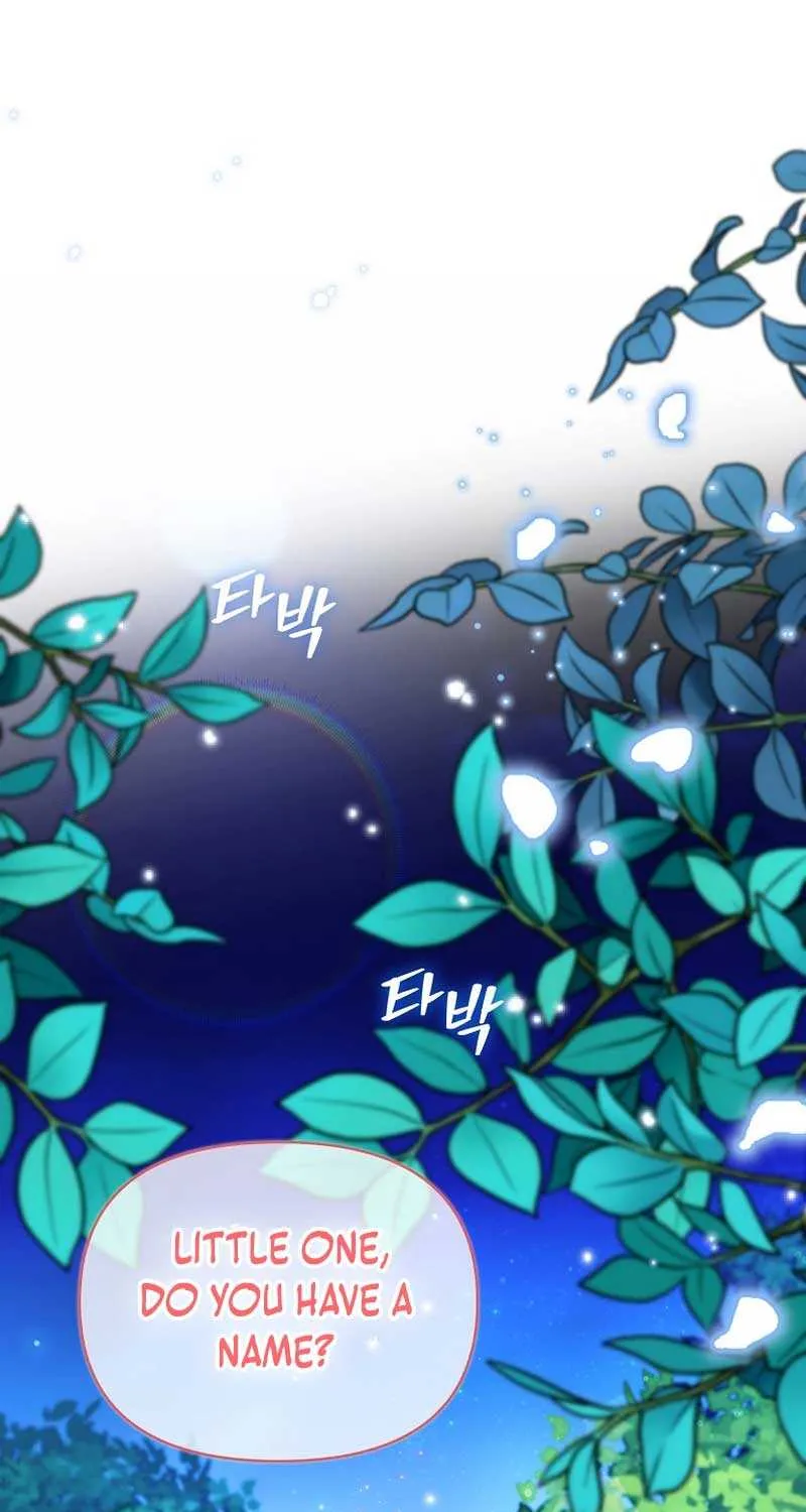 Even Though I Transmigrated as a Villainess, I’d Rather Raise a Cat Chapter 21 page 71 - 
