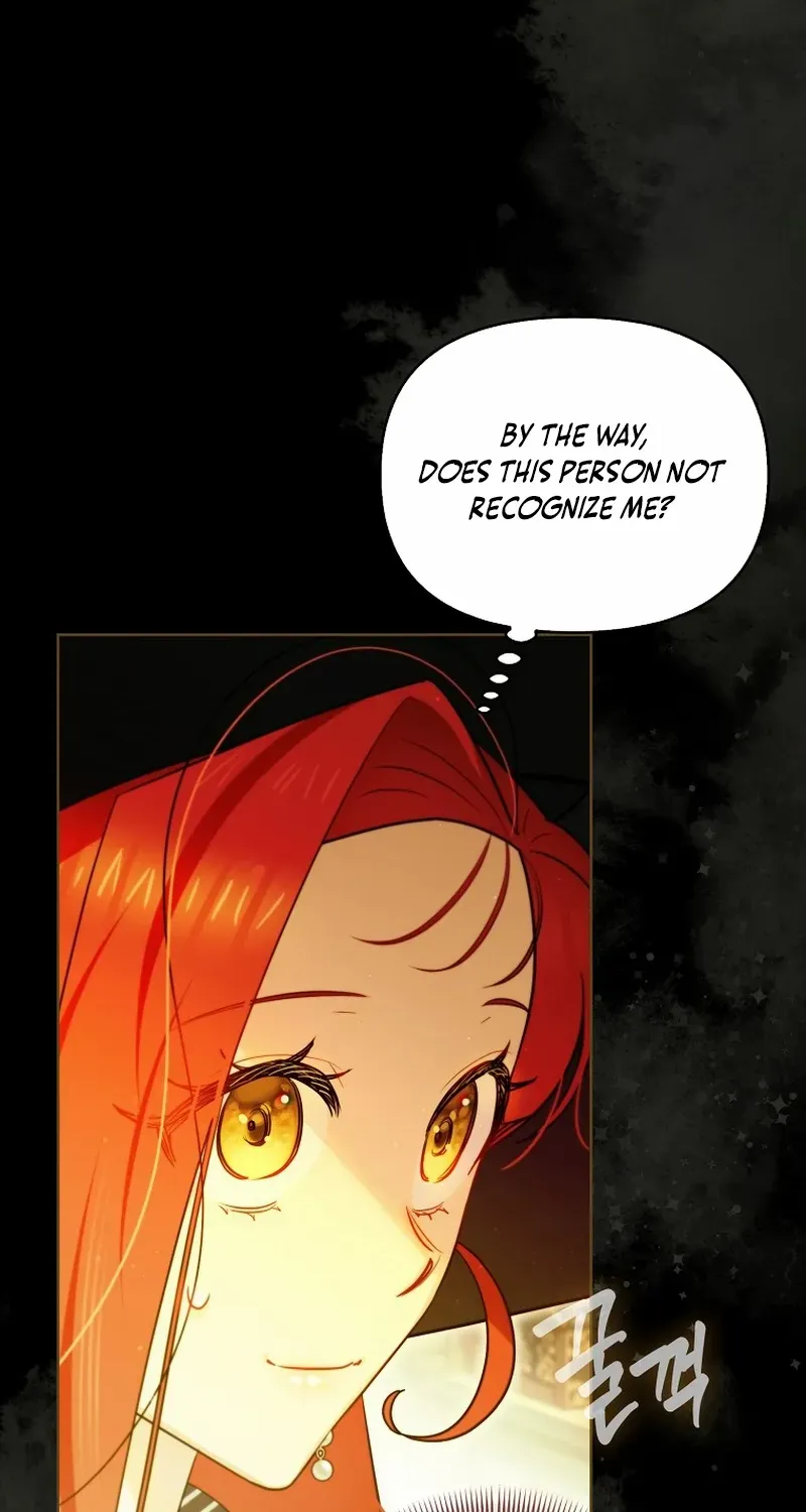 Even Though I Transmigrated as a Villainess, I’d Rather Raise a Cat Chapter 26 page 29 - 