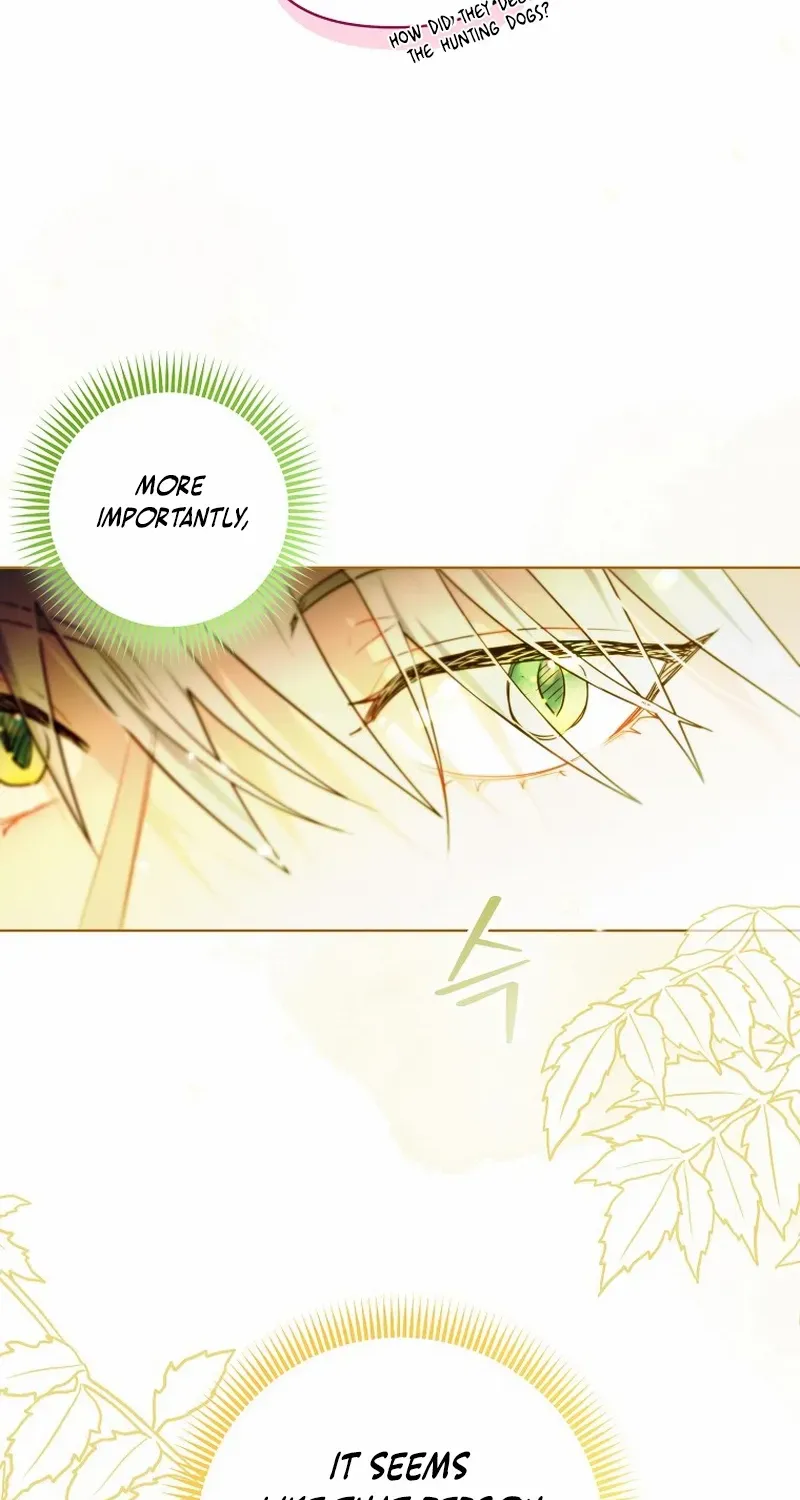 Even Though I Transmigrated as a Villainess, I’d Rather Raise a Cat Chapter 27 page 28 - 