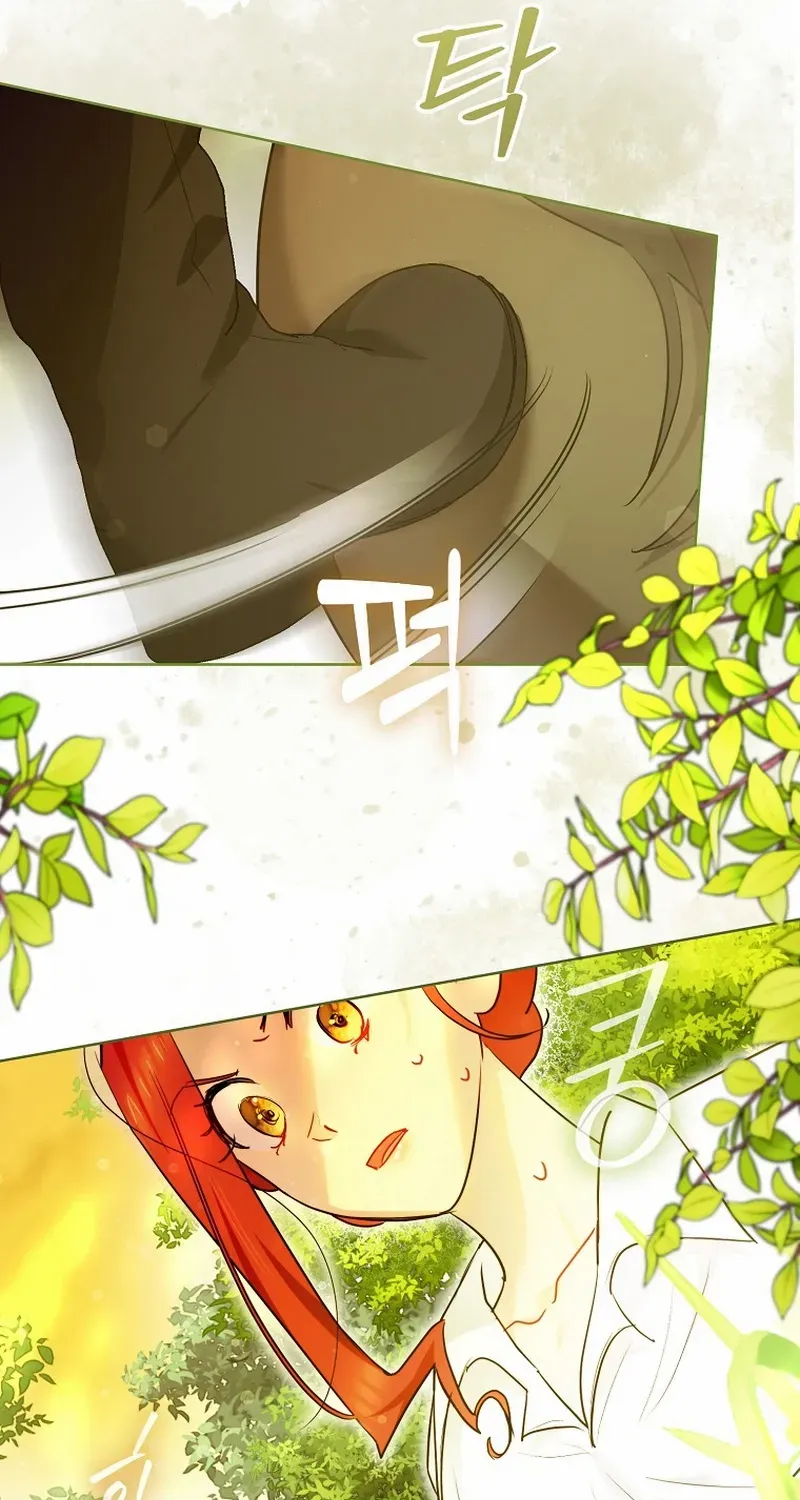 Even Though I Transmigrated as a Villainess, I’d Rather Raise a Cat Chapter 27 page 66 - 