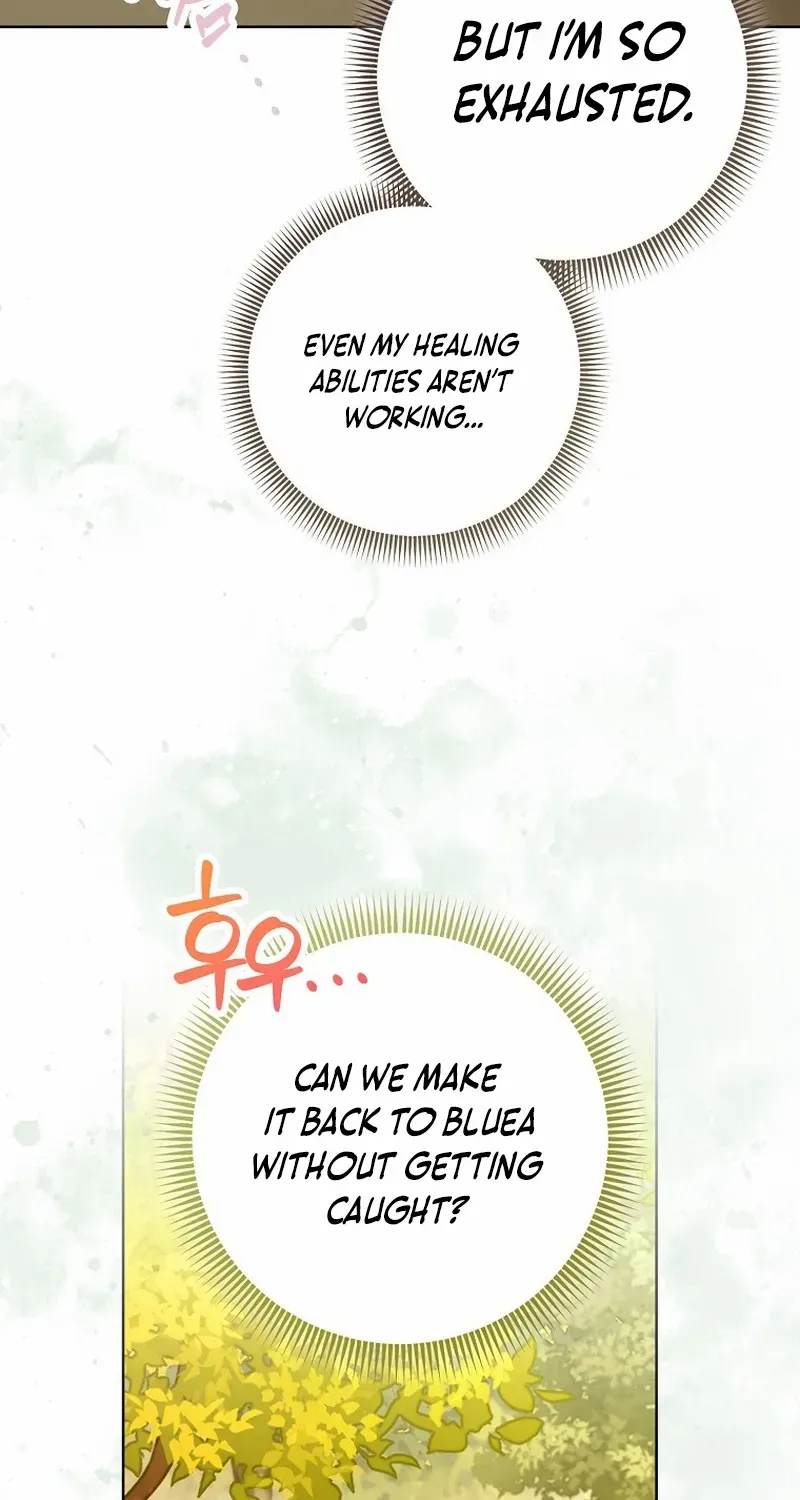 Even Though I Transmigrated as a Villainess, I’d Rather Raise a Cat Chapter 27 page 74 - 
