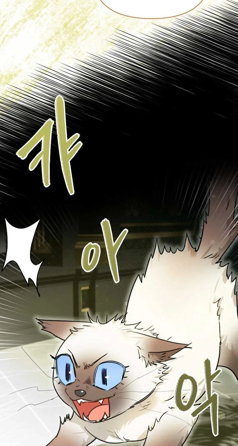 Even Though I Transmigrated as a Villainess, I’d Rather Raise a Cat Chapter 29 page 29 - 