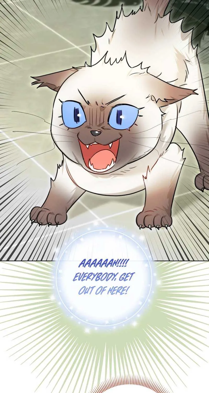 Even Though I Transmigrated as a Villainess, I’d Rather Raise a Cat Chapter 29 page 32 - 