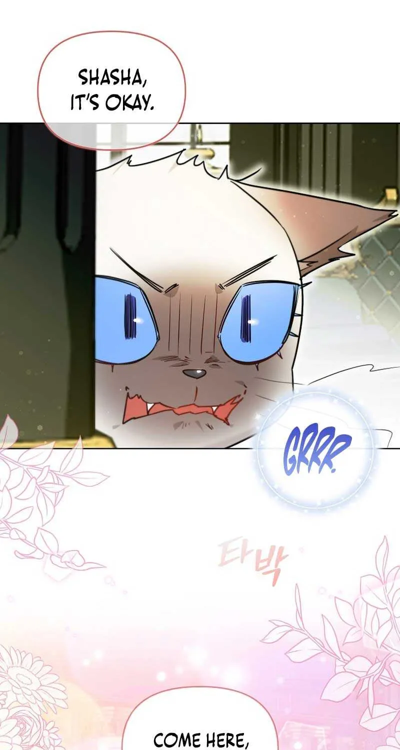 Even Though I Transmigrated as a Villainess, I’d Rather Raise a Cat Chapter 29 page 43 - 