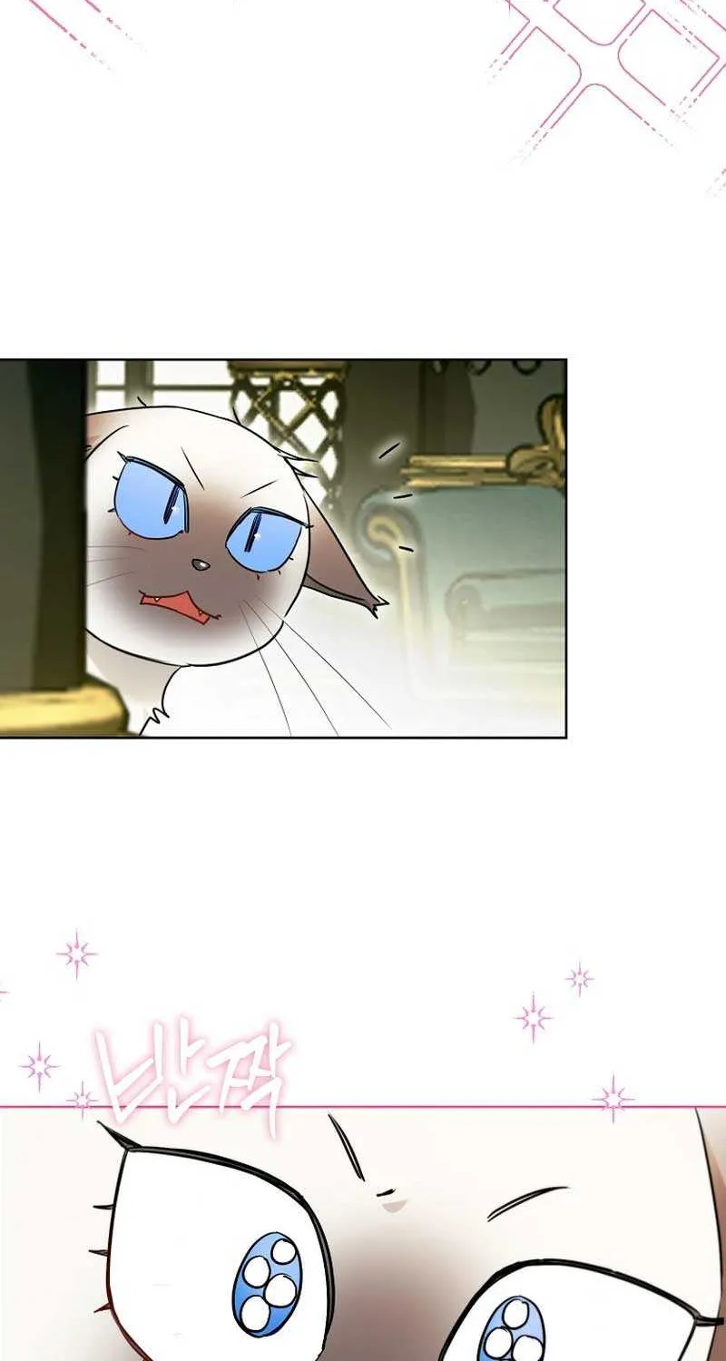 Even Though I Transmigrated as a Villainess, I’d Rather Raise a Cat Chapter 29 page 50 - 