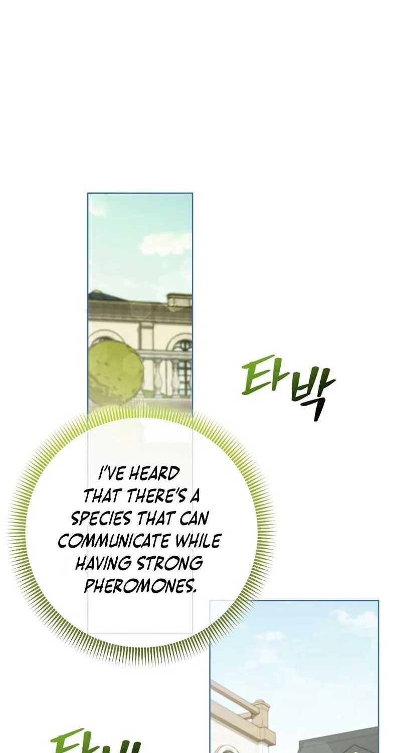 Even Though I Transmigrated as a Villainess, I’d Rather Raise a Cat Chapter 29 page 79 - 