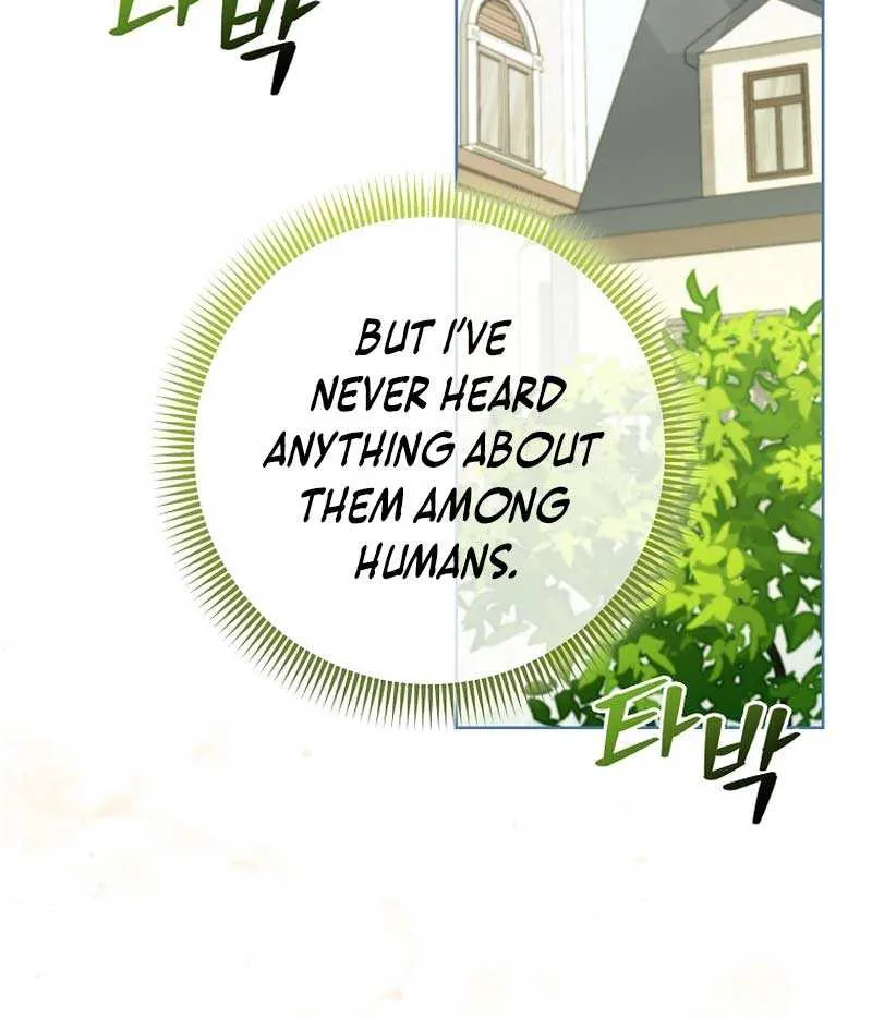 Even Though I Transmigrated as a Villainess, I’d Rather Raise a Cat Chapter 29 page 80 - 