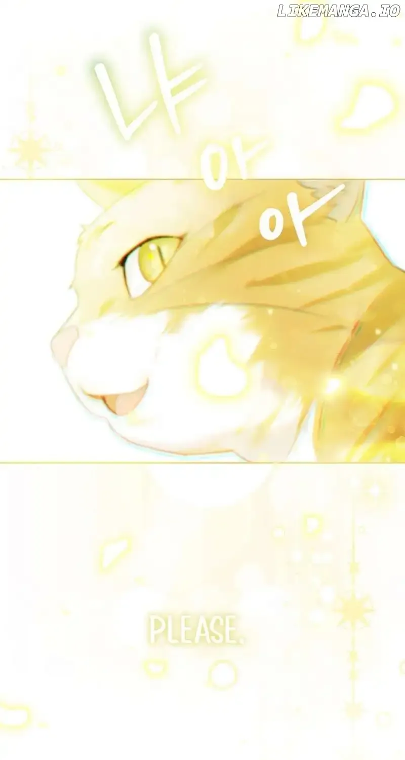Even Though I Transmigrated as a Villainess, I’d Rather Raise a Cat Chapter 3 page 124 - 