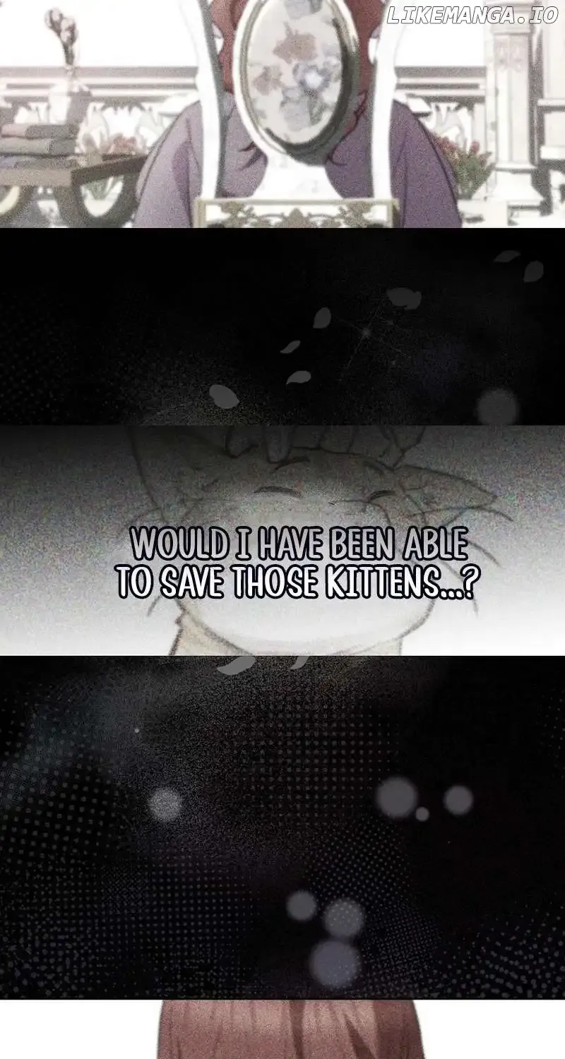 Even Though I Transmigrated as a Villainess, I’d Rather Raise a Cat Chapter 3 page 34 - 