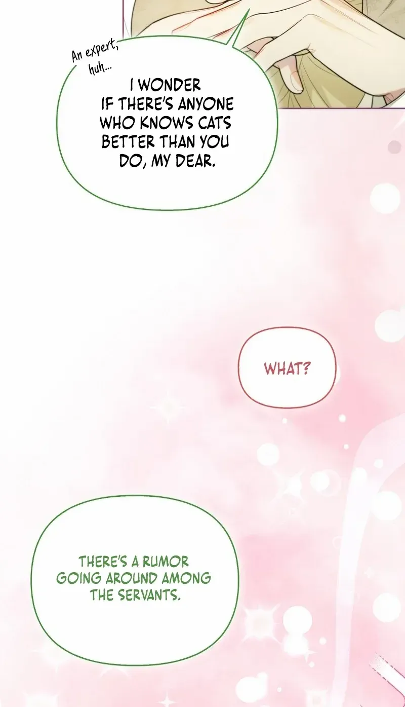 Even Though I Transmigrated as a Villainess, I’d Rather Raise a Cat Chapter 30 page 25 - 