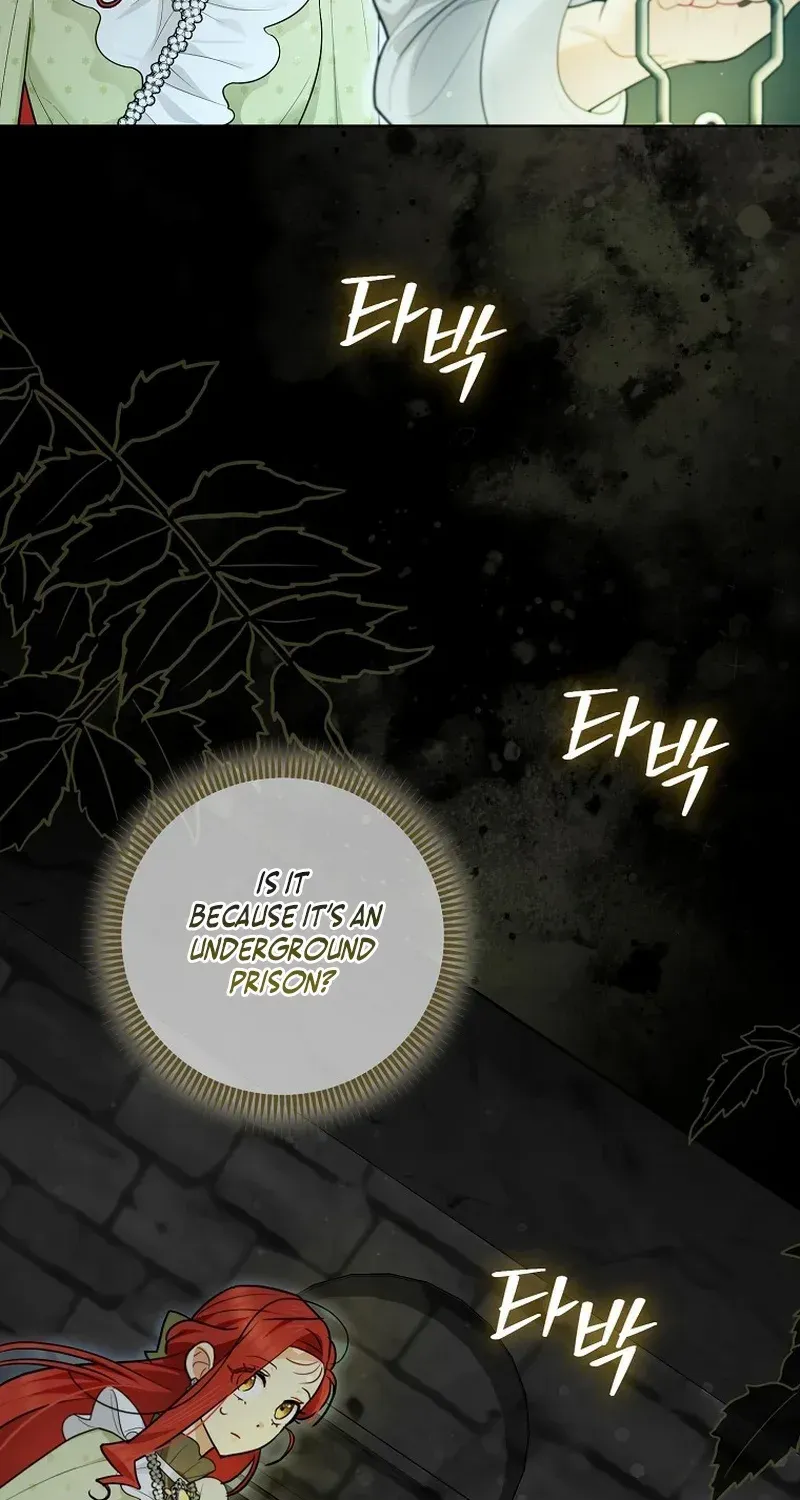 Even Though I Transmigrated as a Villainess, I’d Rather Raise a Cat Chapter 30 page 46 - 