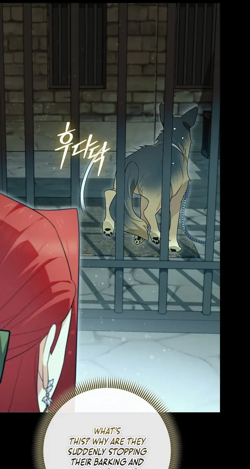 Even Though I Transmigrated as a Villainess, I’d Rather Raise a Cat Chapter 30 page 64 - 