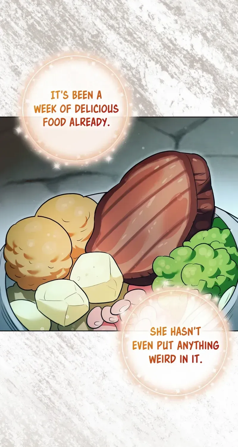 Even Though I Transmigrated as a Villainess, I’d Rather Raise a Cat Chapter 31 page 40 - 