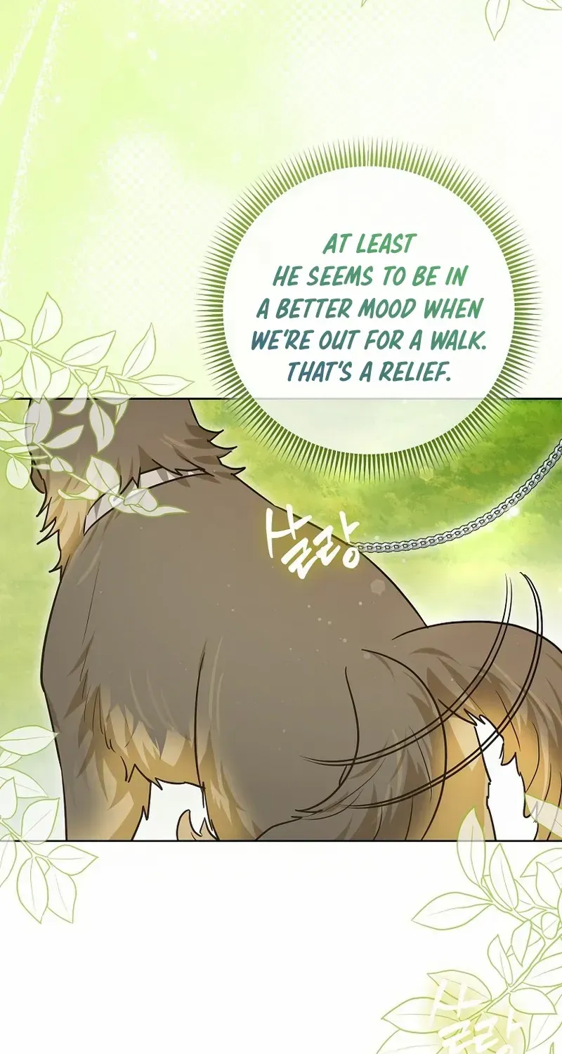 Even Though I Transmigrated as a Villainess, I’d Rather Raise a Cat Chapter 31 page 47 - 