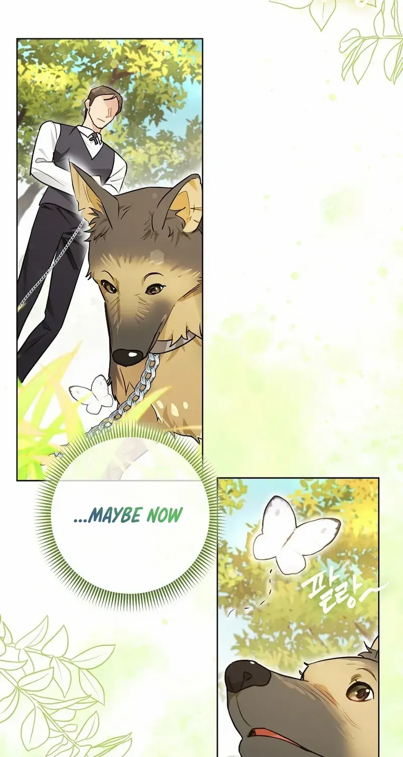 Even Though I Transmigrated as a Villainess, I’d Rather Raise a Cat Chapter 31 page 48 - 