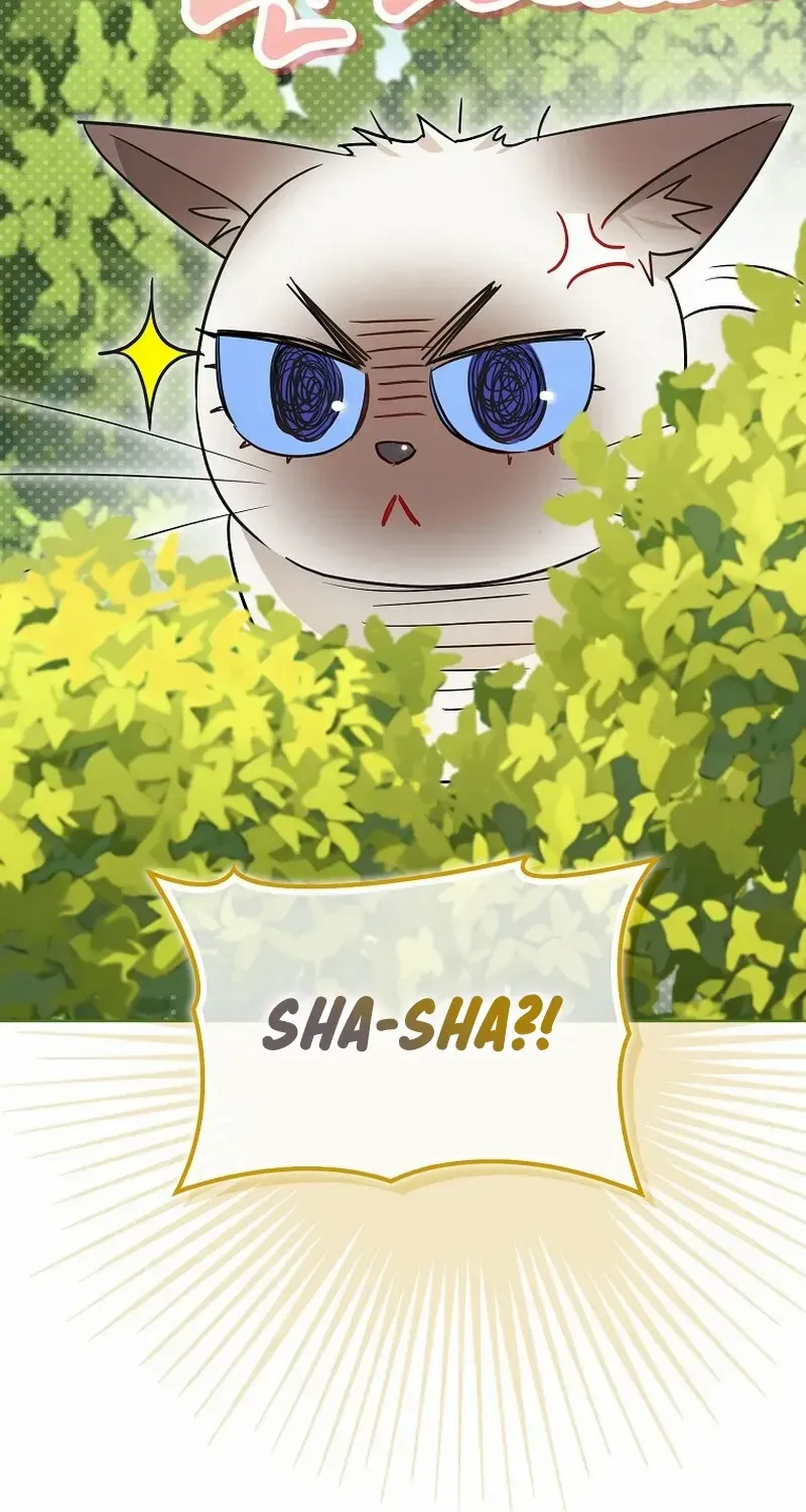 Even Though I Transmigrated as a Villainess, I’d Rather Raise a Cat Chapter 31 page 55 - 