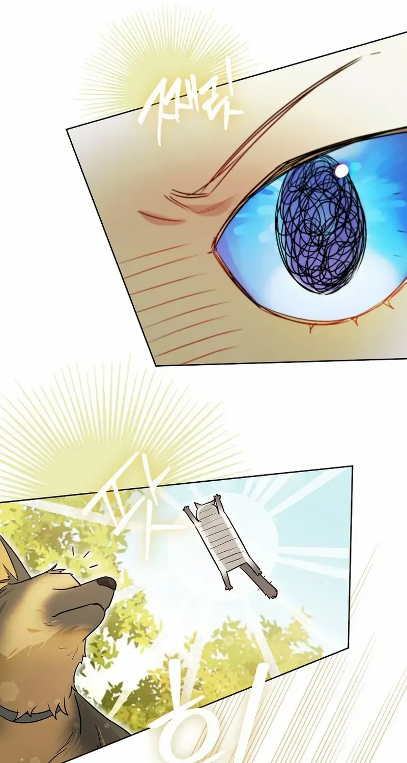 Even Though I Transmigrated as a Villainess, I’d Rather Raise a Cat Chapter 31 page 58 - 