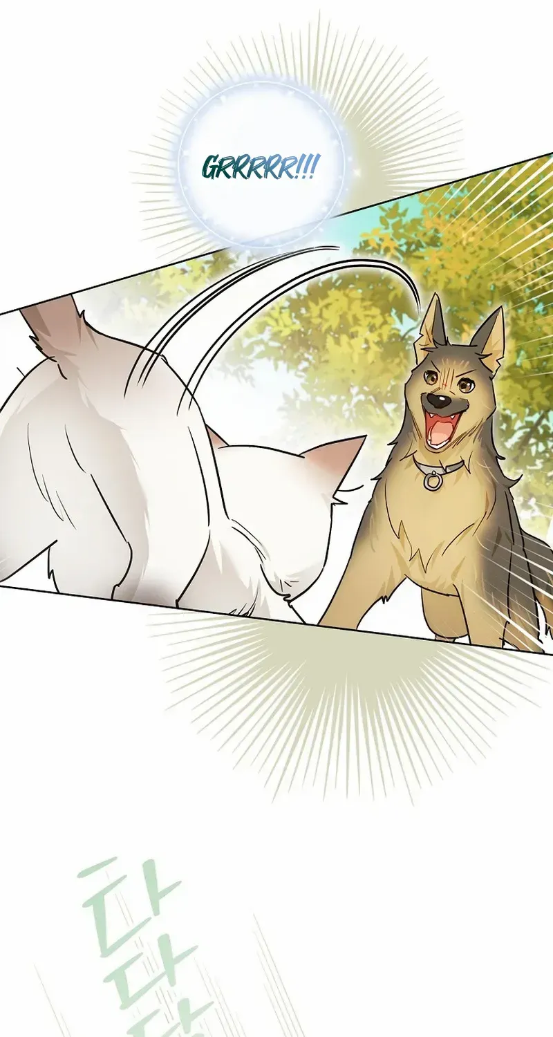 Even Though I Transmigrated as a Villainess, I’d Rather Raise a Cat Chapter 31 page 60 - 