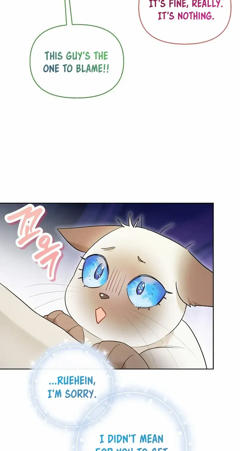 Even Though I Transmigrated as a Villainess, I’d Rather Raise a Cat Chapter 31 page 68 - 