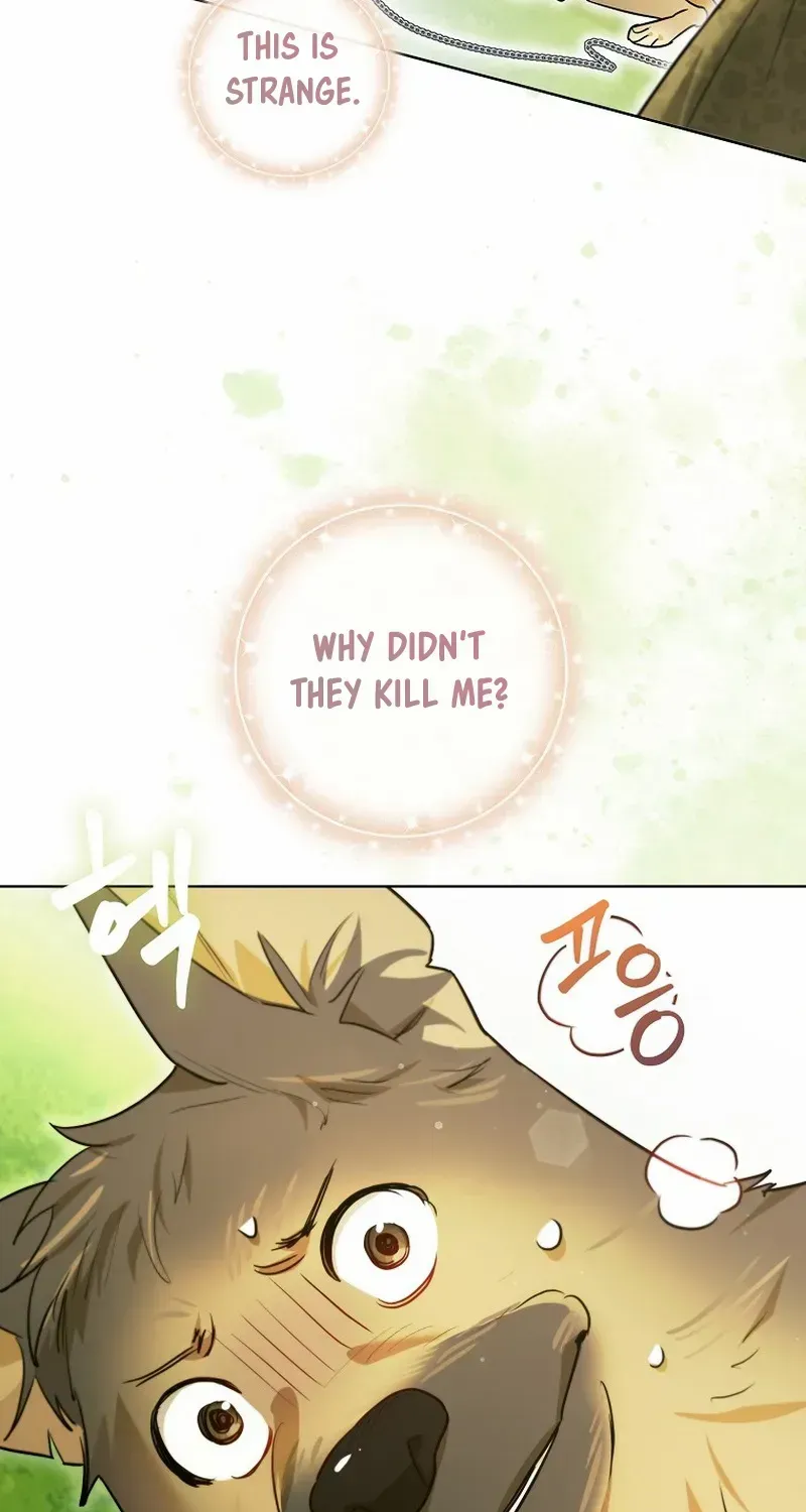 Even Though I Transmigrated as a Villainess, I’d Rather Raise a Cat Chapter 31 page 82 - 