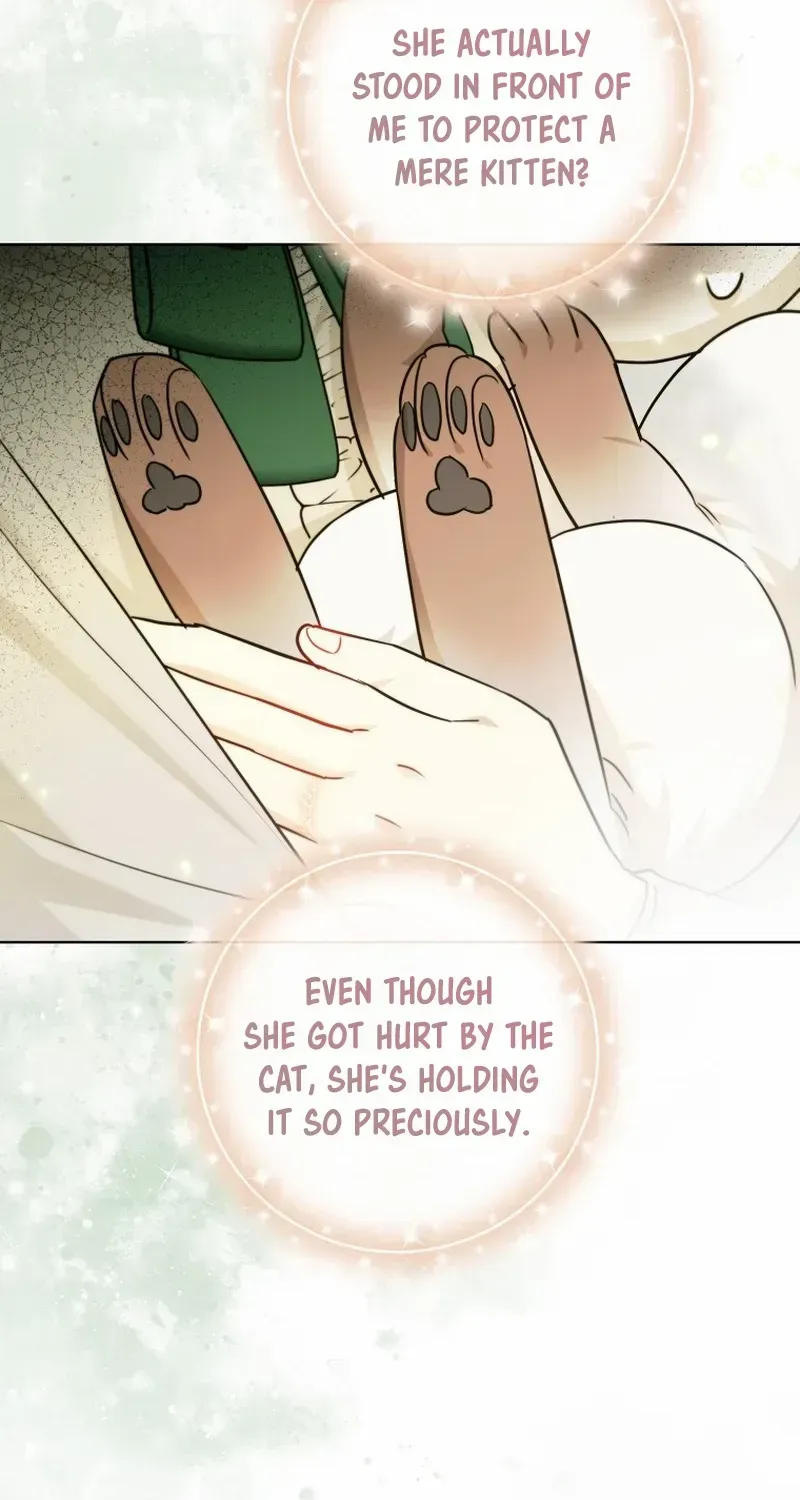 Even Though I Transmigrated as a Villainess, I’d Rather Raise a Cat Chapter 31 page 85 - 