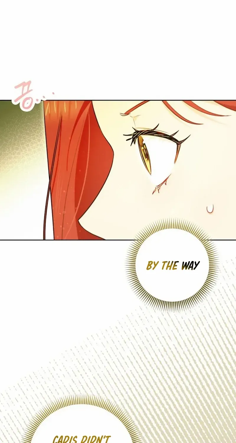 Even Though I Transmigrated as a Villainess, I’d Rather Raise a Cat Chapter 32 page 15 - 