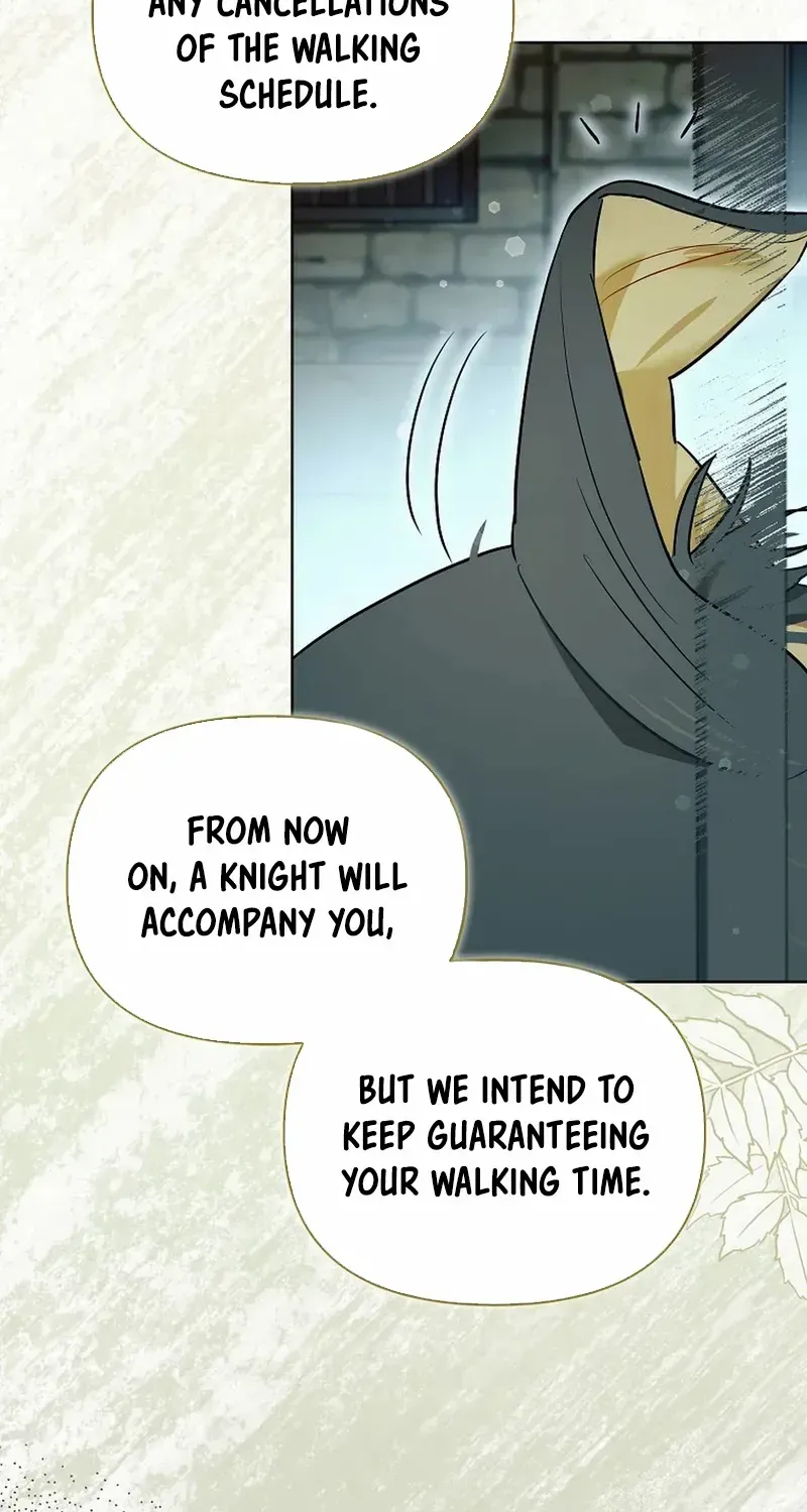 Even Though I Transmigrated as a Villainess, I’d Rather Raise a Cat Chapter 32 page 24 - 