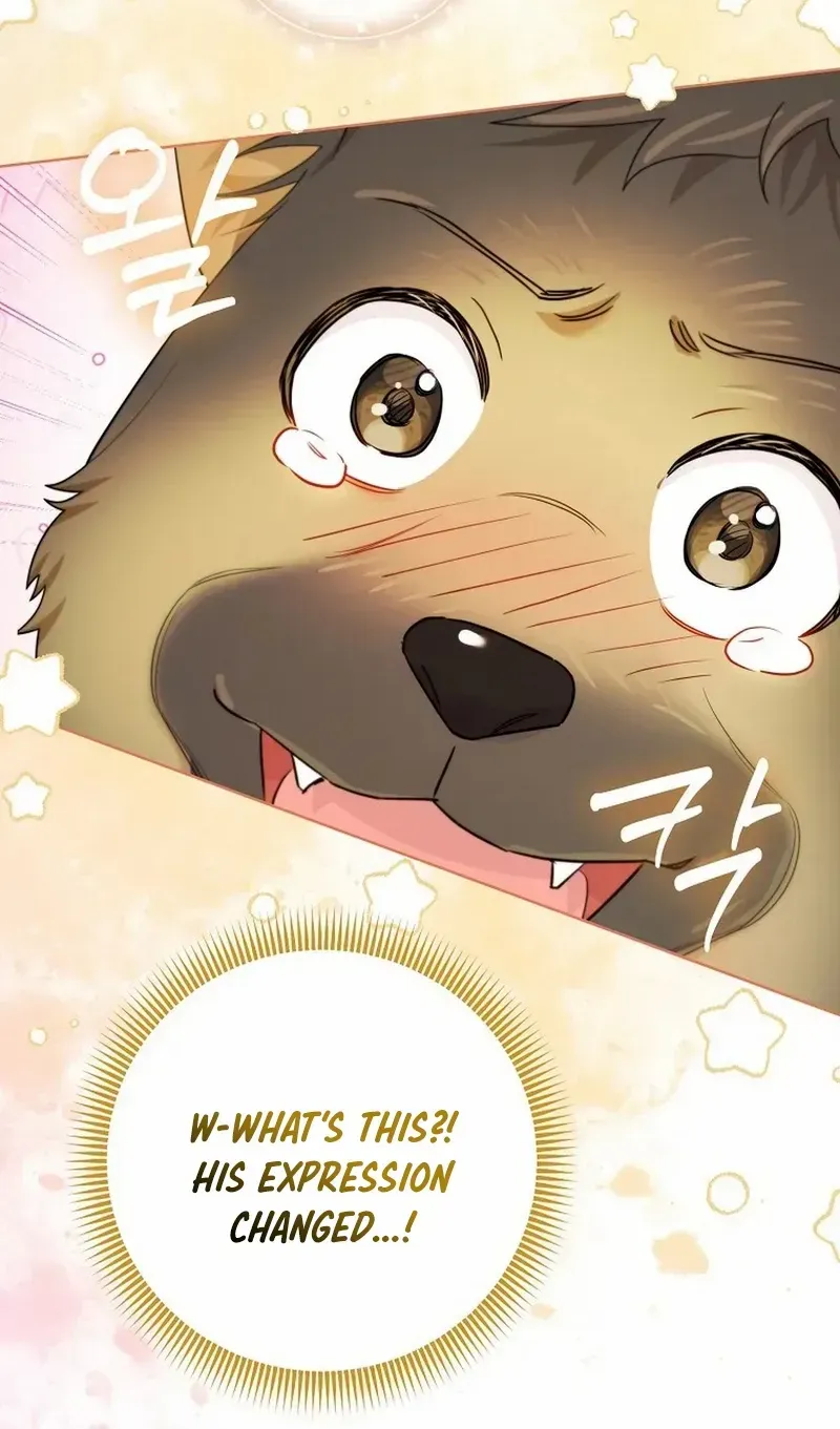 Even Though I Transmigrated as a Villainess, I’d Rather Raise a Cat Chapter 32 page 33 - 