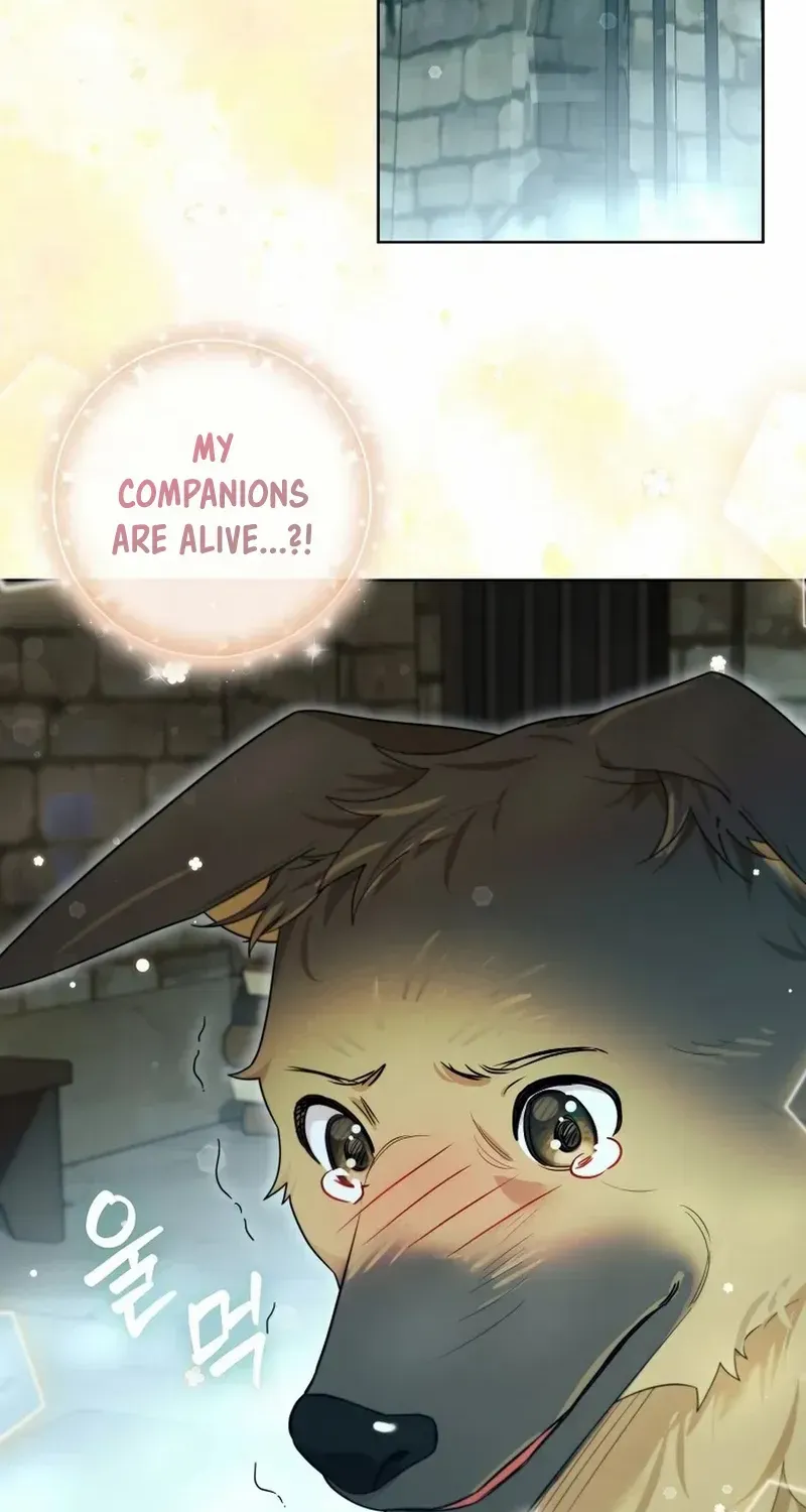 Even Though I Transmigrated as a Villainess, I’d Rather Raise a Cat Chapter 32 page 37 - 