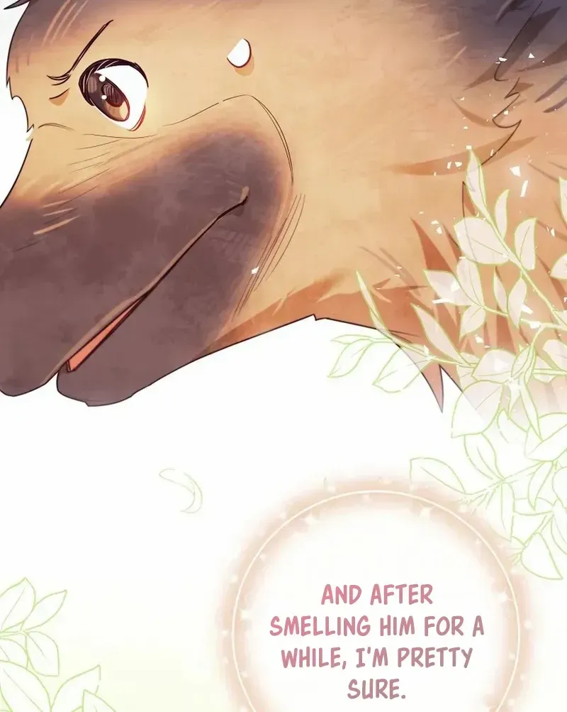 Even Though I Transmigrated as a Villainess, I’d Rather Raise a Cat Chapter 32 page 41 - 