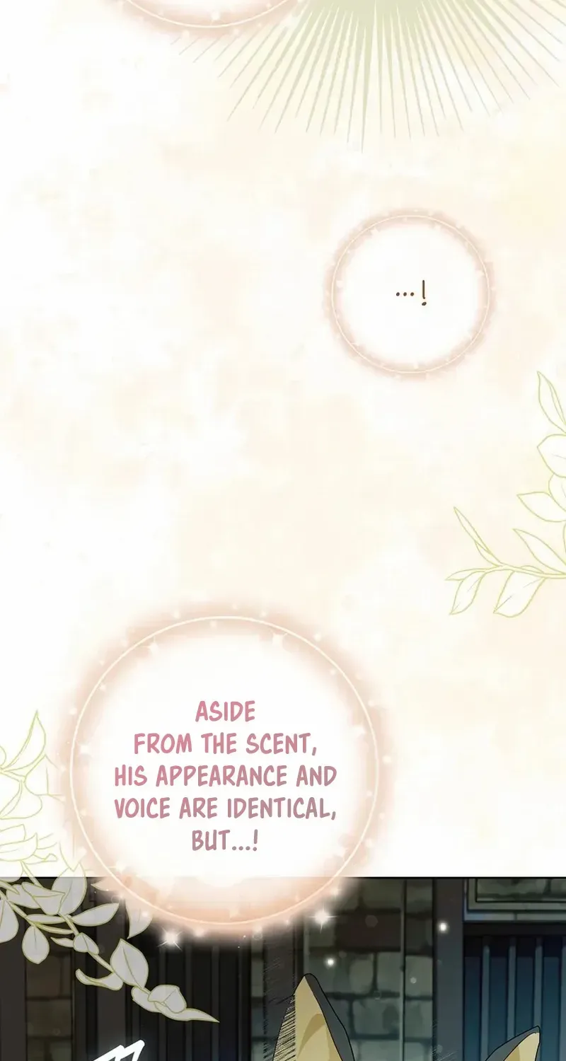 Even Though I Transmigrated as a Villainess, I’d Rather Raise a Cat Chapter 32 page 45 - 