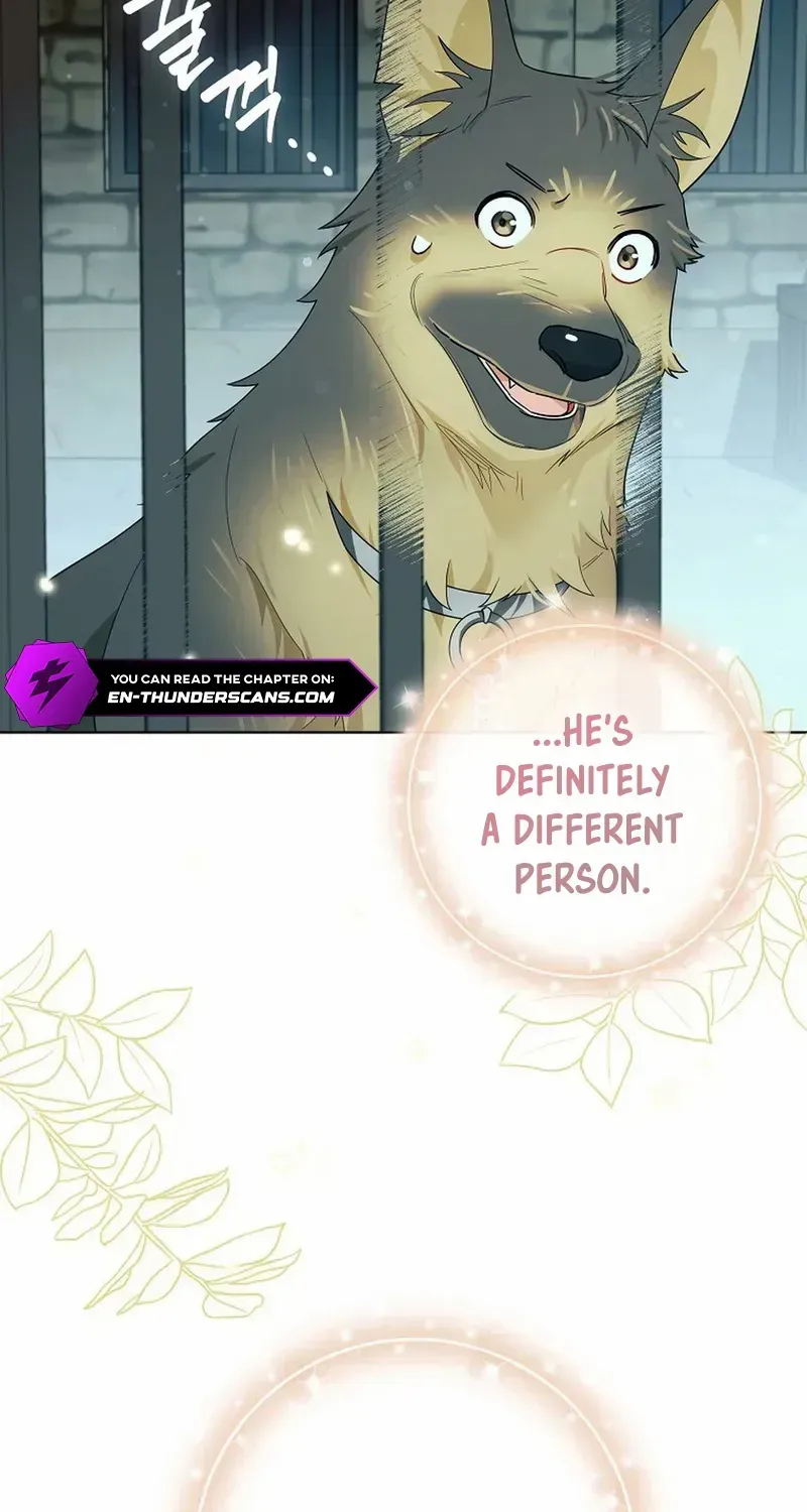 Even Though I Transmigrated as a Villainess, I’d Rather Raise a Cat Chapter 32 page 46 - 