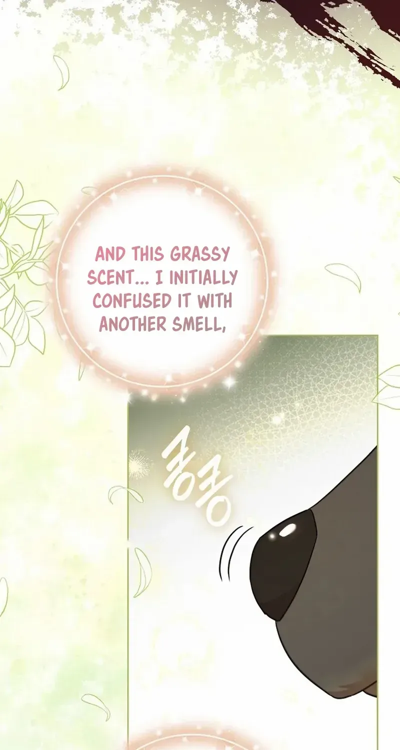 Even Though I Transmigrated as a Villainess, I’d Rather Raise a Cat Chapter 32 page 6 - 