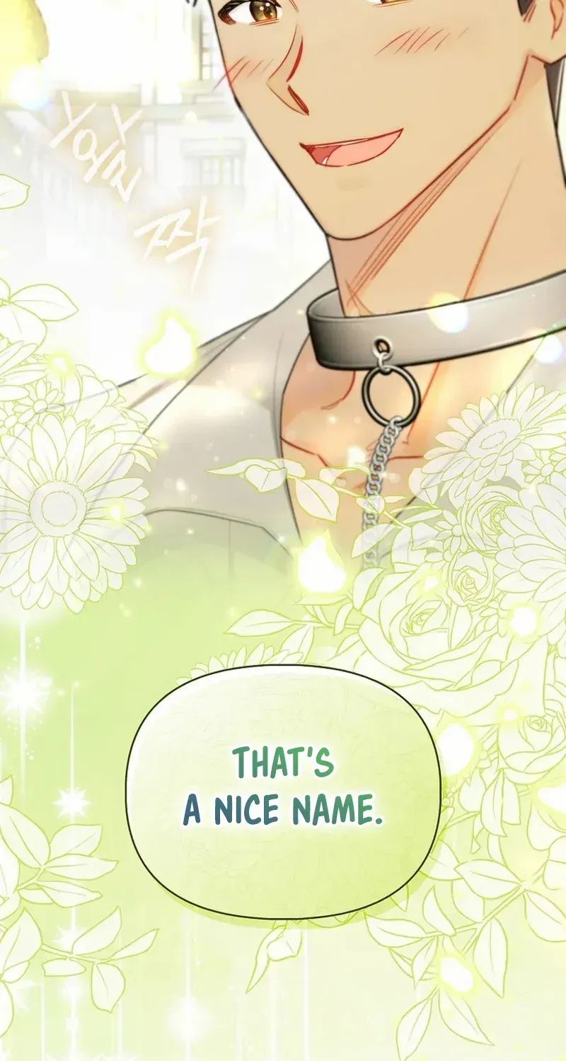 Even Though I Transmigrated as a Villainess, I’d Rather Raise a Cat Chapter 32 page 88 - 