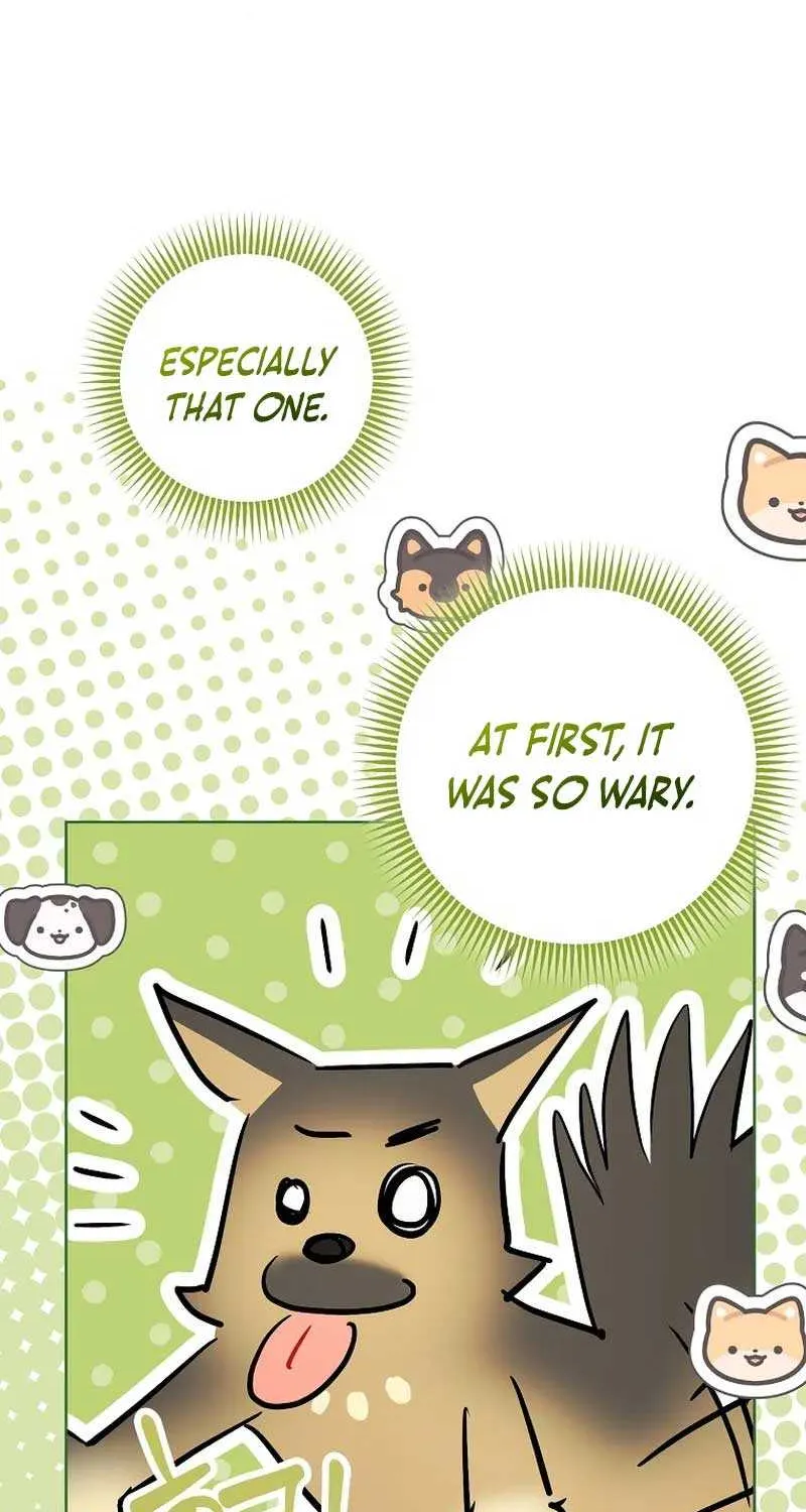 Even Though I Transmigrated as a Villainess, I’d Rather Raise a Cat Chapter 33 page 71 - 