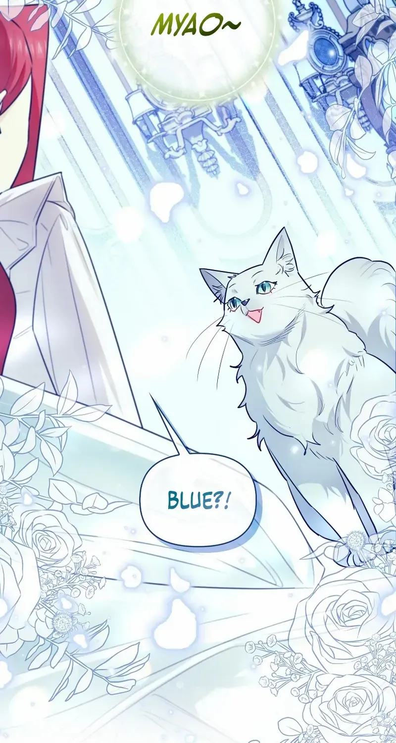 Even Though I Transmigrated as a Villainess, I’d Rather Raise a Cat Chapter 35 page 2 - 