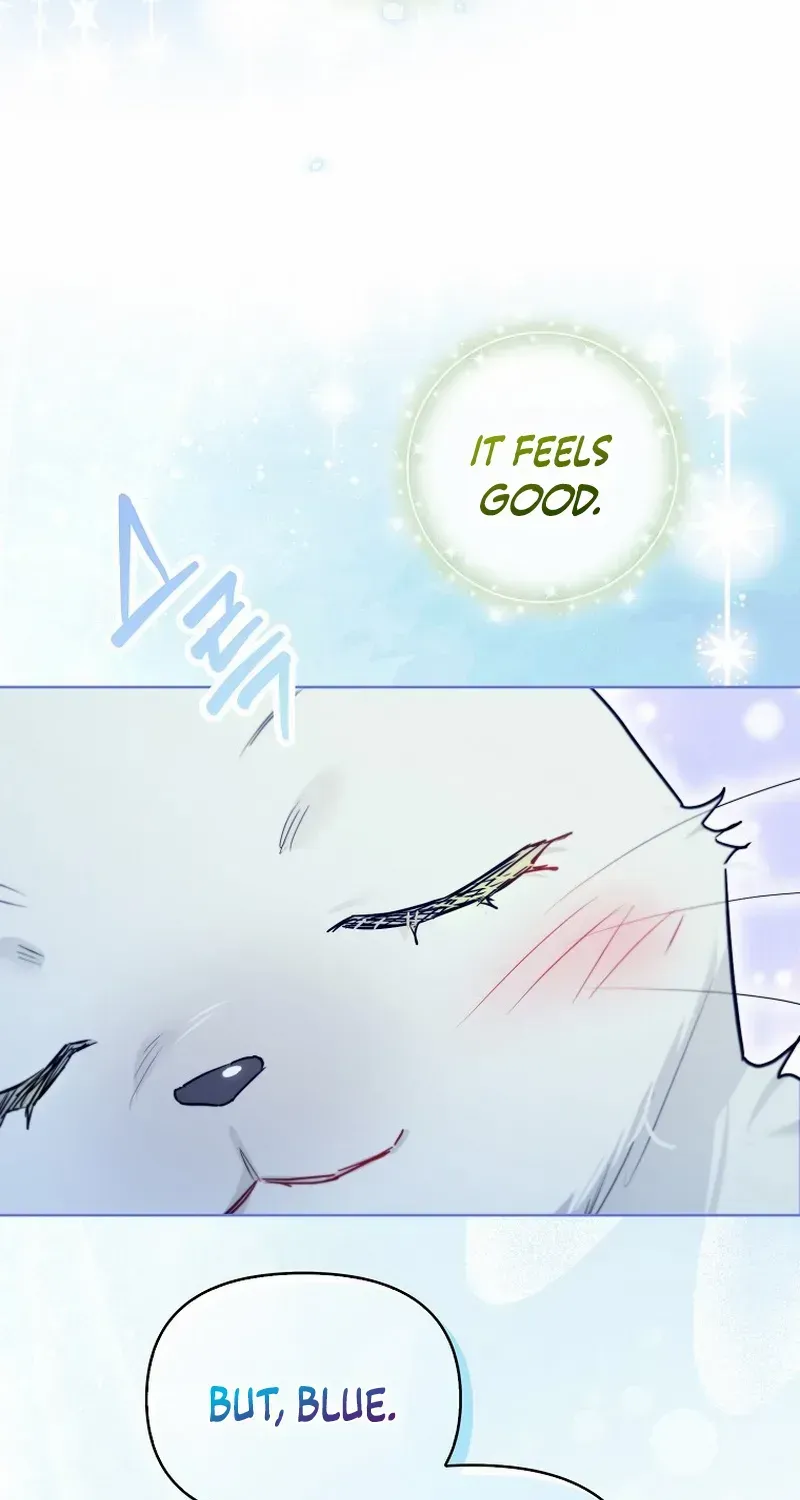 Even Though I Transmigrated as a Villainess, I’d Rather Raise a Cat Chapter 35 page 16 - 