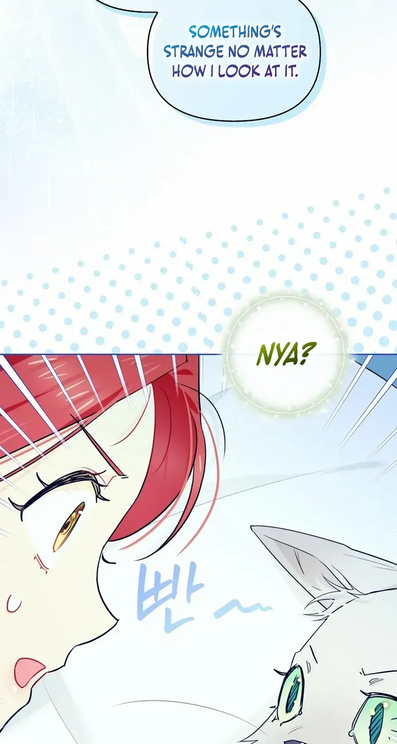Even Though I Transmigrated as a Villainess, I’d Rather Raise a Cat Chapter 35 page 17 - 