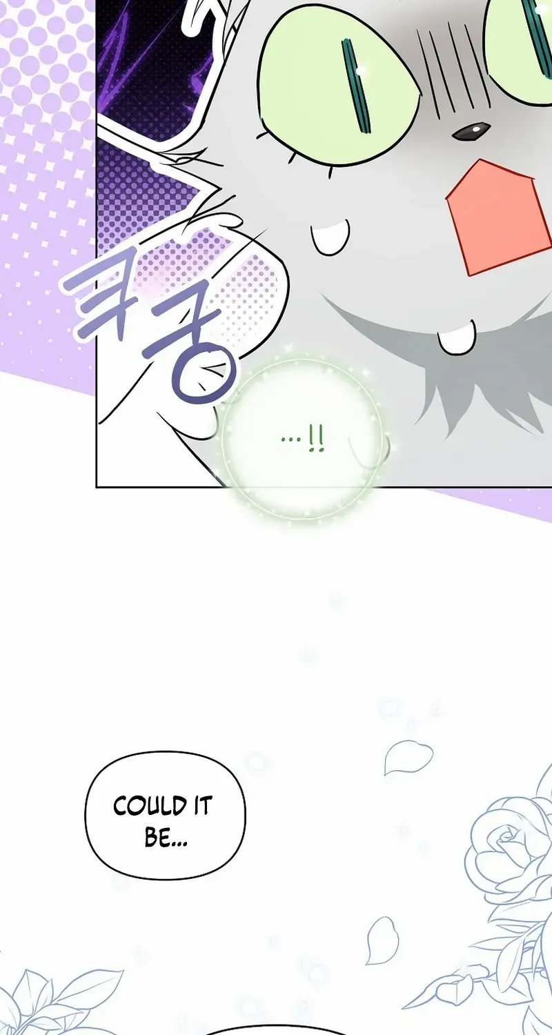 Even Though I Transmigrated as a Villainess, I’d Rather Raise a Cat Chapter 35 page 19 - 