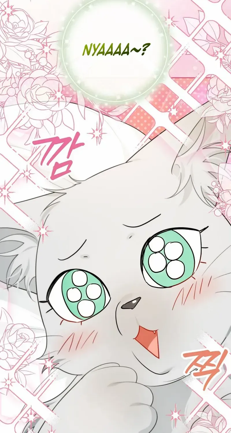 Even Though I Transmigrated as a Villainess, I’d Rather Raise a Cat Chapter 35 page 23 - 
