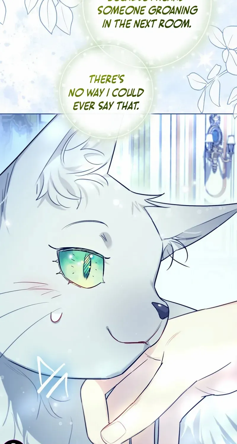 Even Though I Transmigrated as a Villainess, I’d Rather Raise a Cat Chapter 35 page 5 - 