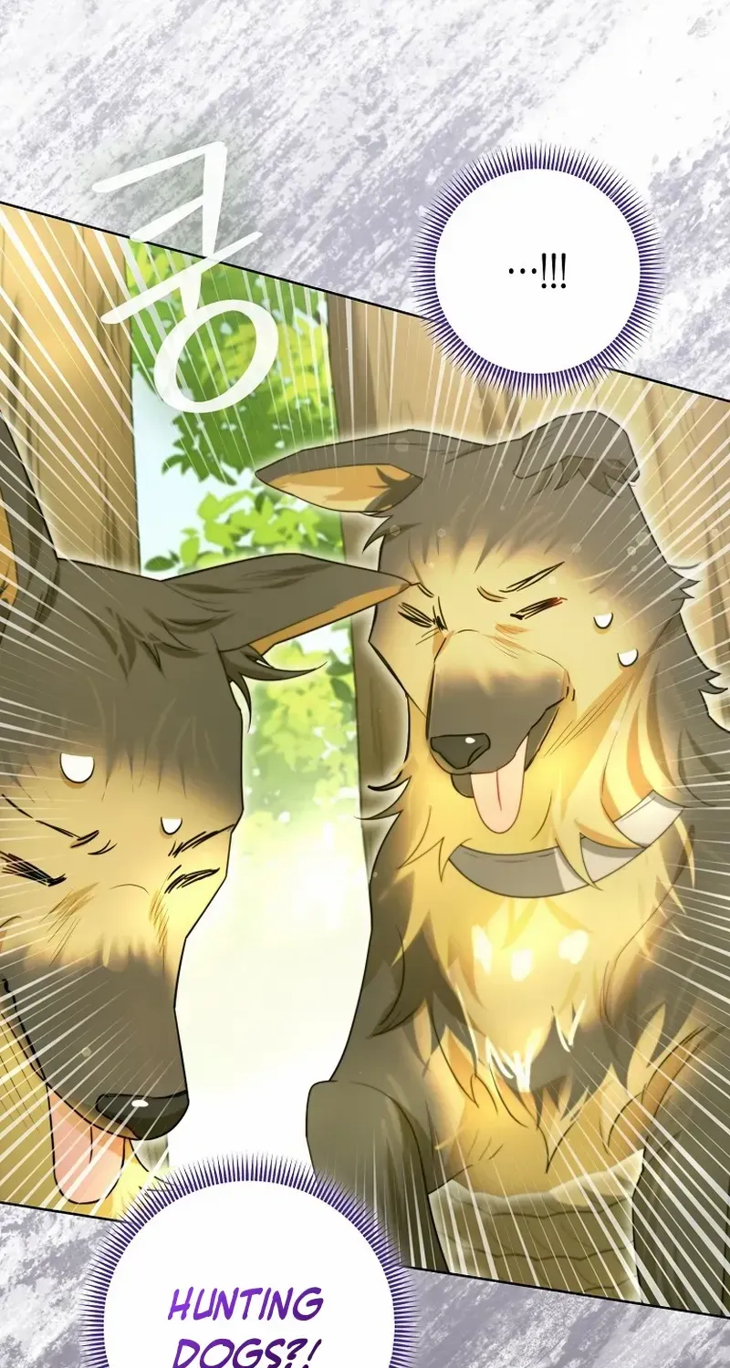 Even Though I Transmigrated as a Villainess, I’d Rather Raise a Cat Chapter 35 page 47 - 
